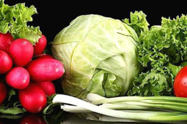 守护家人健康,从心灵到身体的全面关爱 守护家人健康,从心灵到身体的全面关爱