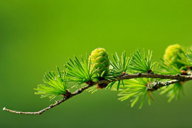 紫光私域流量运营,企业增长的新引擎 紫光私域流量运营,企业增长的新引擎