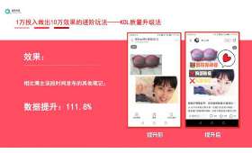 打造稳健资产增值之道——以租房被动收入20万为关键词的资产规划新篇章