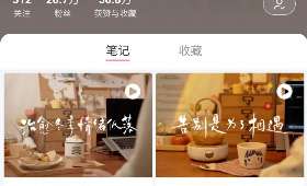全职宝妈攻略手册，高效育儿与自我管理双赢之道