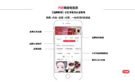 在家办公形象，打造专业与高效的居家工作环境
