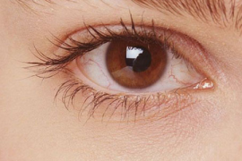 秦老师,女性健康调理的贴心导师 秦老师,女性健康调理的贴心导师