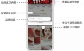 大学生自主创业情况调查报告