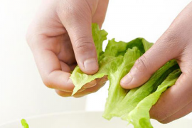健康饮食的秘密与科学指南