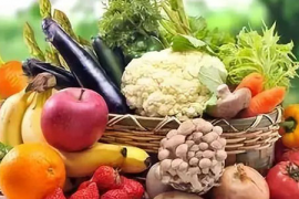 营养与健康手抄报资料 营养与健康手抄报资料