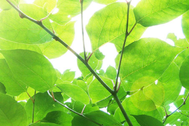 眼睛热敷,缓解胀痛的有效方法 眼睛热敷,缓解胀痛的有效方法