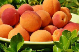 保持身体健康,我们的首要任务 保持身体健康,我们的首要任务