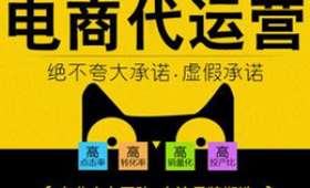 社区电商名，新时代的购物革命