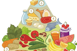 如何办理食品健康证，全面指南