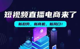 遛狗赚钱技巧，解锁你的宠物服务新商机