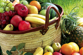 儿童营养与健康，健康成长的关键基石