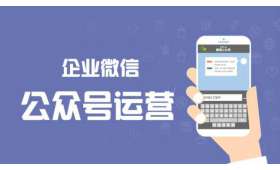 带货之翼，创业助推新篇章