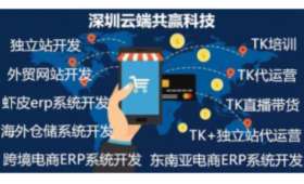 蔬菜频道视频号赚钱攻略，关键策略与实现方法