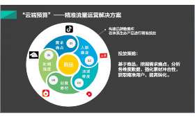 私域流量打造，构建稳固用户群体的核心策略